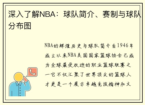 深入了解NBA：球队简介、赛制与球队分布图